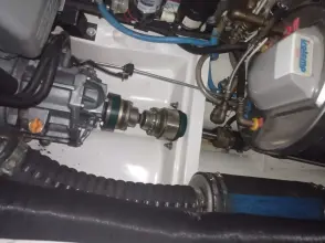 Thumbnail von Malo 39