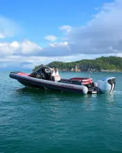 Thumbnail von Mv Marine Mito 31