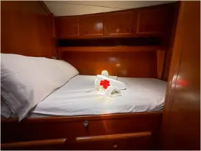 Thumbnail von Alaver Seagle 55