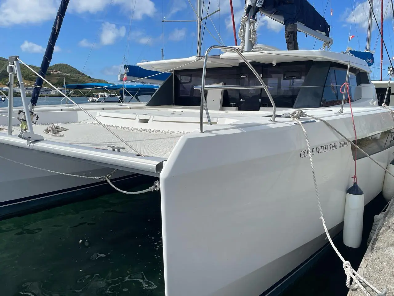 Leopard 50 Gone With The Wind