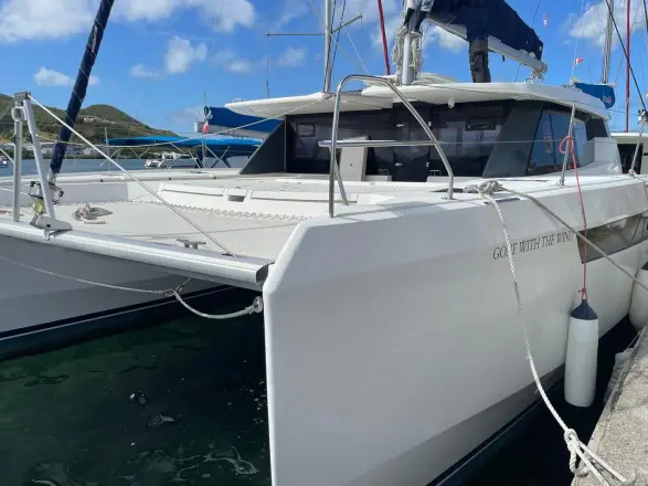 Leopard 50 Gone With The Wind