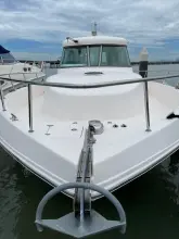 Thumbnail von SilverCat 40 CC 8267135