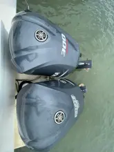 Thumbnail von SilverCat 40 CC 8267135