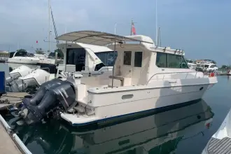 Thumbnail von SilverCat 40 CC 8267135