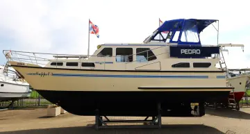 Thumbnail von Pedro 37