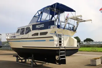 Thumbnail von Pedro 37