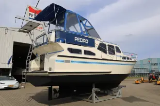 Thumbnail von Pedro 37