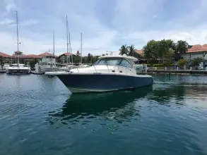 Thumbnail von Pursuit OS 385 8294890