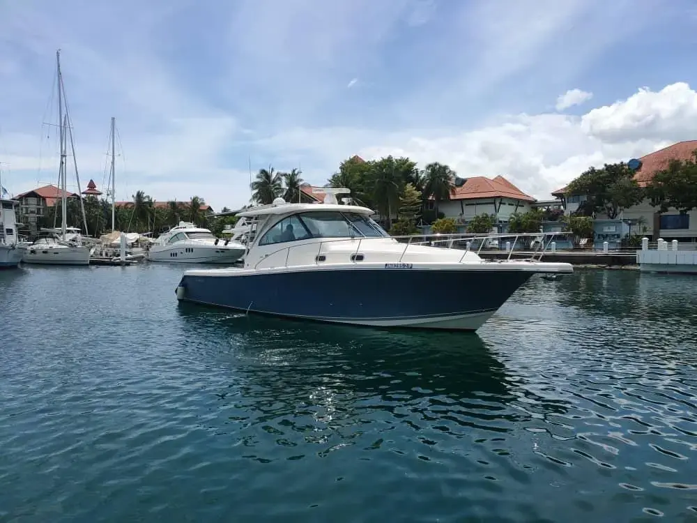 Thumbnail von Pursuit OS 385 8294890