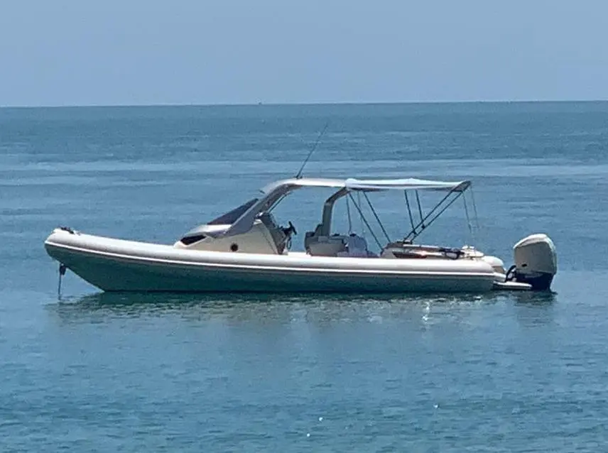 Thumbnail von Sacs Strider 11 LIMO