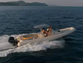 Thumbnail von Sacs Strider 11 LIMO