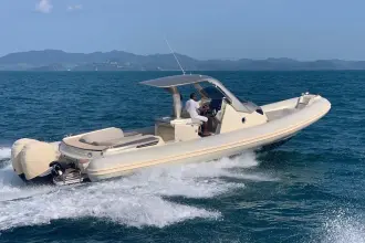 Thumbnail von Sacs Strider 11 LIMO