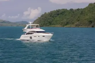 Thumbnail von Princess 60 Flybridge ELENA