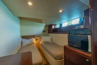 Thumbnail von Princess 75 BLUE ROSE