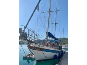 Thumbnail von Formosa 51