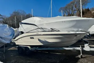 Thumbnail von Sea Ray SPX 190 Outboard