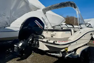 Thumbnail von Sea Ray SPX 190 Outboard