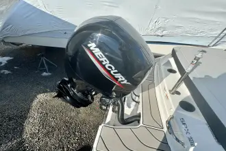 Thumbnail von Sea Ray SPX 190 Outboard