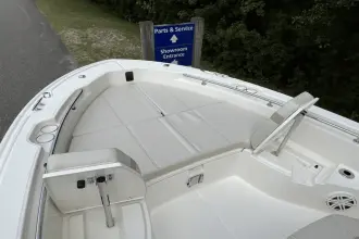 Thumbnail von Boston Whaler 250 Dauntless