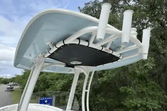 Thumbnail von Boston Whaler 250 Dauntless