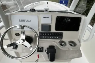 Thumbnail von Boston Whaler 250 Dauntless