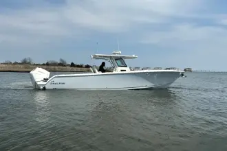 Thumbnail von Sailfish 312 CC