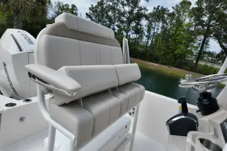 Thumbnail von Boston Whaler 220 Dauntless