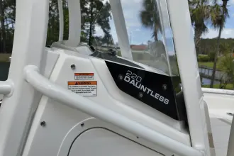 Thumbnail von Boston Whaler 220 Dauntless