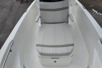 Thumbnail von Boston Whaler 220 Dauntless