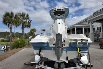 Thumbnail von Boston Whaler 220 Dauntless