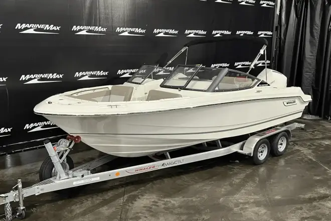 Boston Whaler 210 Vantage