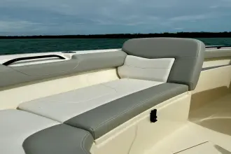 Thumbnail von Scout 305 LXF