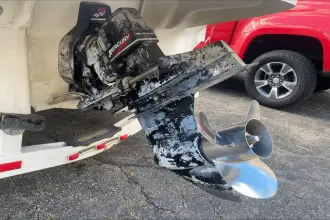 Thumbnail von Sea Ray 210 Sundeck