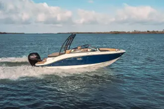 Thumbnail von Sea Ray SPX 190 Outboard