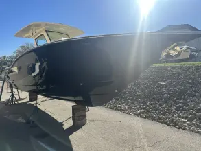 Thumbnail von Scout 305 LXF