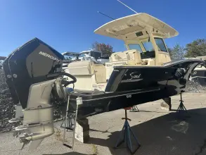 Thumbnail von Scout 305 LXF