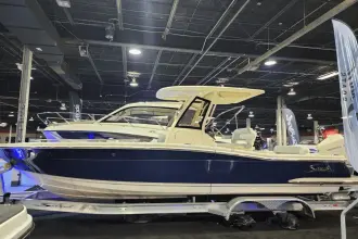 Thumbnail von Scout 240 XSF