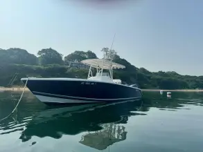 Thumbnail von Jupiter 29 FS