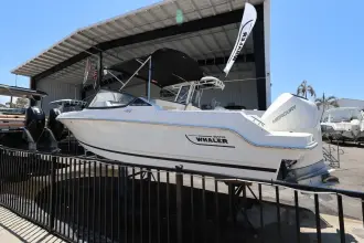 Thumbnail von Boston Whaler 210 Vantage