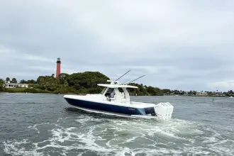 Thumbnail von Intrepid 41 Panacea