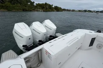 Thumbnail von Intrepid 41 Panacea