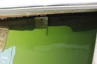 Thumbnail von Sea Ray 360 Sedan Bridge