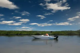 Thumbnail von Boston Whaler 130 Super Sport