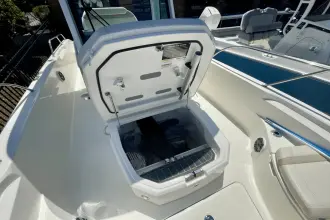 Thumbnail von Boston Whaler 280 Dauntless
