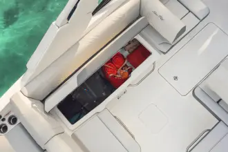 Thumbnail von Sea Ray SDX 250 Outboard