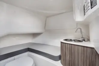 Thumbnail von Sea Ray SDX 250 Outboard