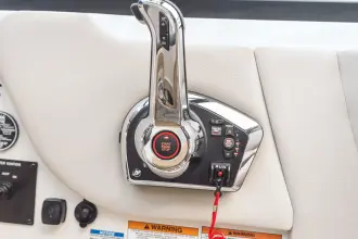 Thumbnail von Sea Ray SDX 250 Outboard