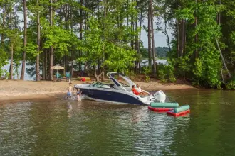 Thumbnail von Sea Ray SDX 250 Outboard