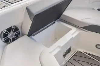 Thumbnail von Sea Ray SDX 250 Outboard