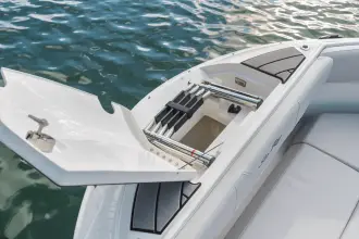 Thumbnail von Sea Ray SDX 250 Outboard